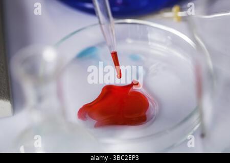 Scientist shows a diffusion in the Petri dish Stock Photo