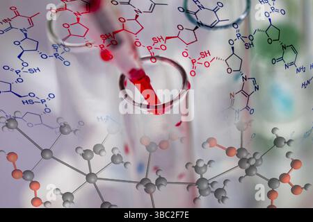 Scientist shows a diffusion in the Petri dish Stock Photo