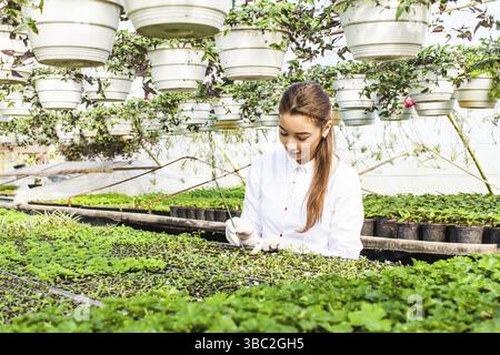 Young woman biologist in white coat in greenhouse Stock Photo