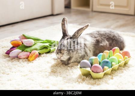 Easter rabbit in the room on a carpet with colorful eggs Stock Photo