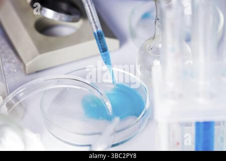 Scientist shows a diffusion in the Petri dish Stock Photo