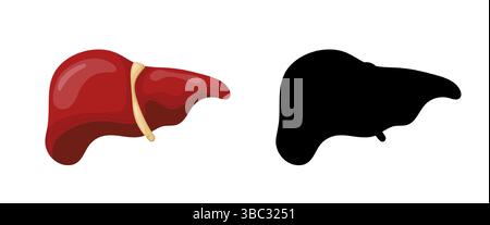 Internal organ responsible for detoxification, protein synthesis, and bile production, depicted in color and silhouette, medical illustrations and edu Stock Vector