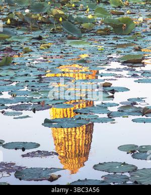 Lily pond next to temple complex,reflecting large ancient structure at sunset,with ripples on water reflecting golden colour of pagoda next to arrange Stock Photo