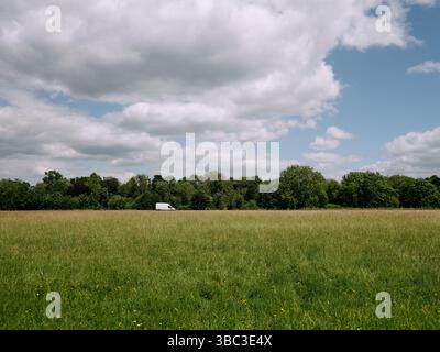 White Van Man - A lone white delivery van behind a grass meadow field landscape England UK - British English Britain Stock Photo