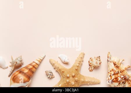 Different seashells and starfish on white background Stock Photo