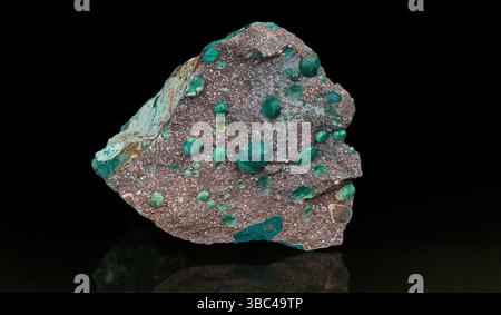 Melaphyre extrusive volcanic igneous rock on black background with reflection. Closeup a mineral stone of vesicular basalt with small green amygdules. Stock Photo