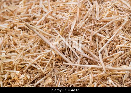 Close-up of long thin rolled wood shavings in beige texture of woodwork by-product. Abstract background with beautiful pattern of wooden chips strips. Stock Photo