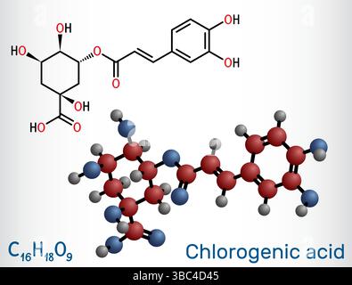 Chlorogenic acid molecule. Chemical structure of plant-based polyphenol antioxidant. Vector illustration Stock Vector