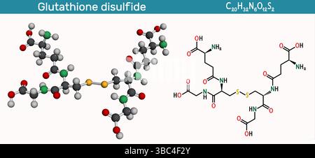 glutathione peroxidase x ray crystal structure Functional Mimics of Peroxidase: Spirochalcogenuranes, Mechanism and Its Antioxidant Activity Glutathione Peroxidase-1 in Health and