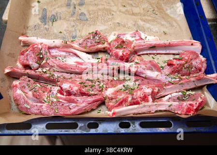 Uncooked lamb chops seasoned with rosemary and herbs, arranged on a parchment-lined baking tray ready for roasting or grilling. Stock Photo