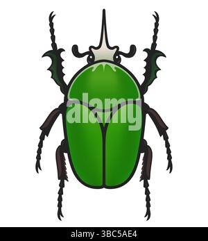 Mecynorhina torquata, Giant Flower Beetle. Large green African Goliath beetle. Vector clip art illustration isolated on white background. Stock Vector