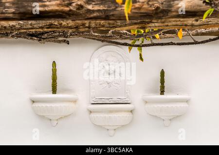 A relief of a cherub in white stucco hangs between two shell-shaped wall vases, each holding a cactus, on a white wall at the Fundación César Manrique in Tahíche, Lanzarote. A gnarled branch with yellowing leaves reaches into the frame from above. César Manrique returned from New York in 1966 and built his home here, where he lived from 1968 to 1988 – longer than anywhere else in his life. Since 1992 it has been open to the public as a foundation. Calle Amando Fuentes, Teguise, Canary Islands, Spain. Stock Photo
