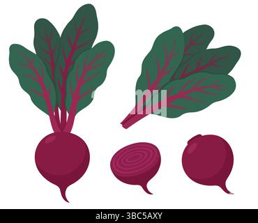 Beet set, beetroot and greens, whole and cut. Cartoon vector style clipart illustration. Stock Vector