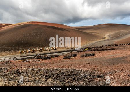 Tourists ride camels through the volcanic landscape of Lanzarote. LZ-67, Yaiza, Canarias, Spain Stock Photo