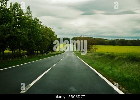 Empty road goes between a forest and field Stock Photo