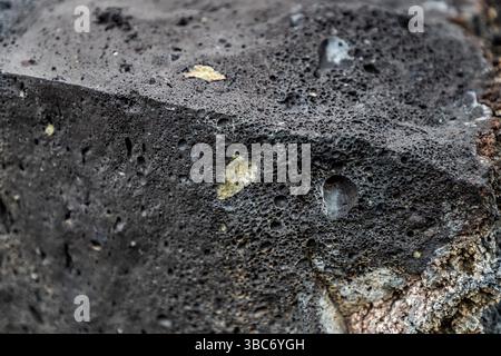 Close-up of a volcanic rock in Mancha Blanca on Lanzarote. The porous structure of the black lava rock is clearly visible, with inclusions of green olivine. The formation of this rock is due to the cooling and deposition of magma. Mancha Blanca, Canary Islands, Spain Stock Photo