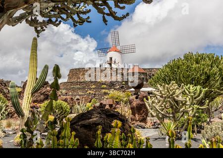 The El Jardn de Cactus cactus garden on Lanzarote is home to around 4,500  species of cacti from five continents. It was designed by Csar Manrique  and is laid out in a