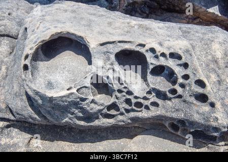 Tafoni of sandstone that formed deep below the sea, 40–60 MY, Salt Point State Park, CA, USA Stock Photo