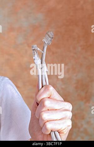Female holding internet network cables connectors in her hand Stock Photo