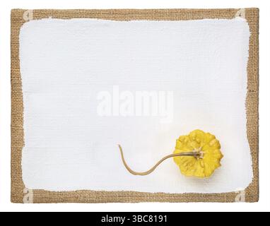 Yellow ornamental gourd on a primed art canvas with a copy space Stock Photo