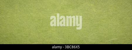 Background and texture of moss green Korean hanji paper handmade from inner bark of the mulberry tree Stock Photo