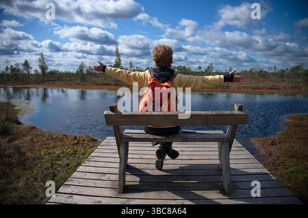 Rear view of mature woman sitting on the bench in the swamp of Latvia Stock Photo