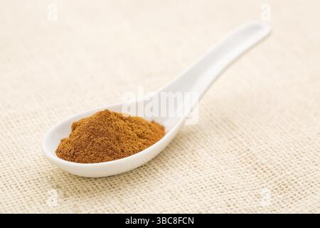Cinnamon (cassia) bark powder on a white Chinese spoon against burlap canvas Stock Photo