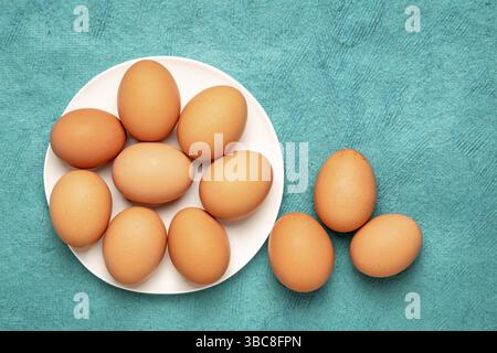 Free-range large brown chicken eggs on a white plate against textured bark paper with a copy space Stock Photo