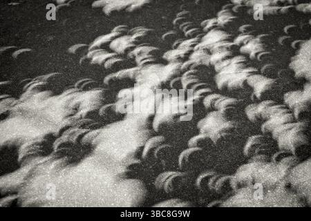 Crescent highlights and shadows of tree leaves from eclipse happening on a concrete sidewalk in northern Colorado (August, 21, 2017) Stock Photo
