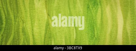 Green and yellow watercolor abstract hand painted with wavy vertical brush strokes, self made panoramic banner Stock Photo