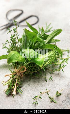 Freshly cut herbs including basil, mint, rosemary, and thyme tied together with twine laying on a gray table next to scissors Stock Photo