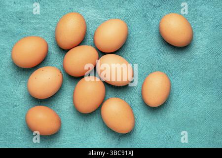 Free-range large brown chicken eggs on textured turquoise bark paper Stock Photo