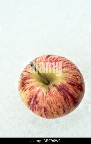Single stripey  red and yellow Royal Gala apple on plain background Stock Photo