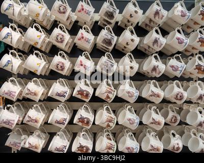 Rows of white china coffee mugs decorated with animals, Harlestone Heath Garden Centre, Northamptonshire, UK Stock Photo