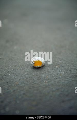 A bird's broken egg, with yolk visible, on the road Stock Photo