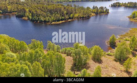 Glen Affric Cannich Scotland Loch Beinn a' Mheadhoin islands and a forest of birch trees with fresh green leaves in Spring Stock Photo