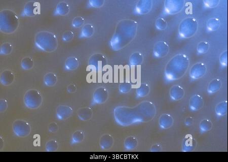 Water drops side lit and glowing blue Stock Photo