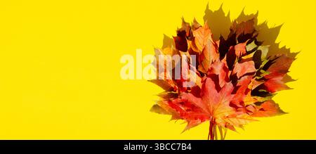 Bright autumn leaves lie on yellow background with copy space. Texture of multicolored maple leaves in bouquet with shadow on yellow surface. Autumn c Stock Photo