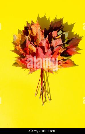 Bright autumn leaves lie on yellow background with copy space. Texture of multicolored maple leaves in bouquet with shadow on yellow surface. Autumn c Stock Photo