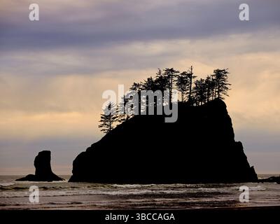 The view at sunset from 2nd beach in La Push, Washington in the Olympic National Park area. Stock Photo