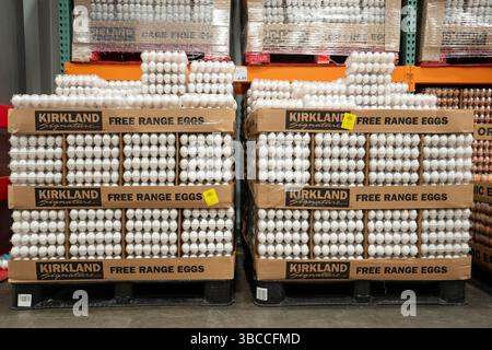 Free range eggs under the Kirkland Signature label at a Costco store in Tigard, Oregon. Stock Photo