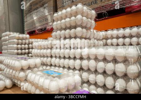 Free range eggs under the Kirkland Signature label at a Costco store in Tigard, Oregon. Stock Photo
