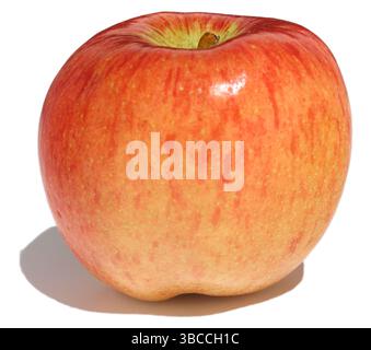 braeburn apple photographed on a white background Stock Photo