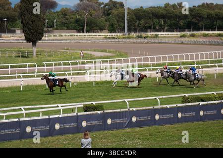 UAE President Cup 2025 at Capannelle hyppodrome. Horse HM ALCHAHINE (12) with jockey Cristian Demuro taking the lead. Stock Photo