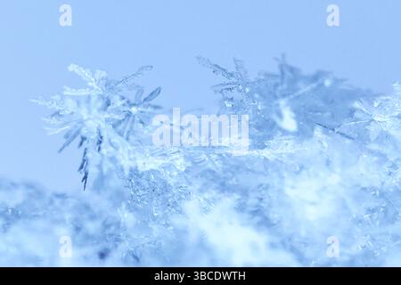 a close-up macrophotography of crystals of geometric patterns of snowflakes Stock Photo