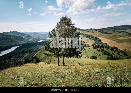Green meadow against the backdrop of green hills. Blue sky with clouds. Journey into the wild. a lonely tree on a hillside. Stock Photo