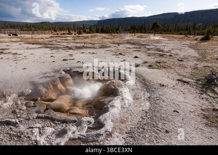 Dramatic sky over a geothermal basin in Yellowstone National Park, with dead trees, steam vents, and distant forest under dynamic clouds Stock Photo