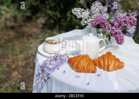 Delicate breakfast setting with tea, croissants, and fresh lilac flowers on a white table outdoors. Stock Photo