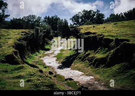 Scenic dirt path winds through lush green hills under a cloudy sky Stock Photo