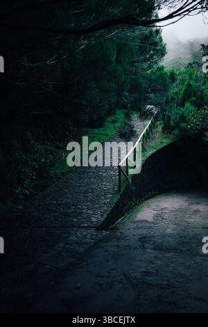 Stone pathway winding through a dark, misty forest with lush green foliage and a wooden railing Stock Photo